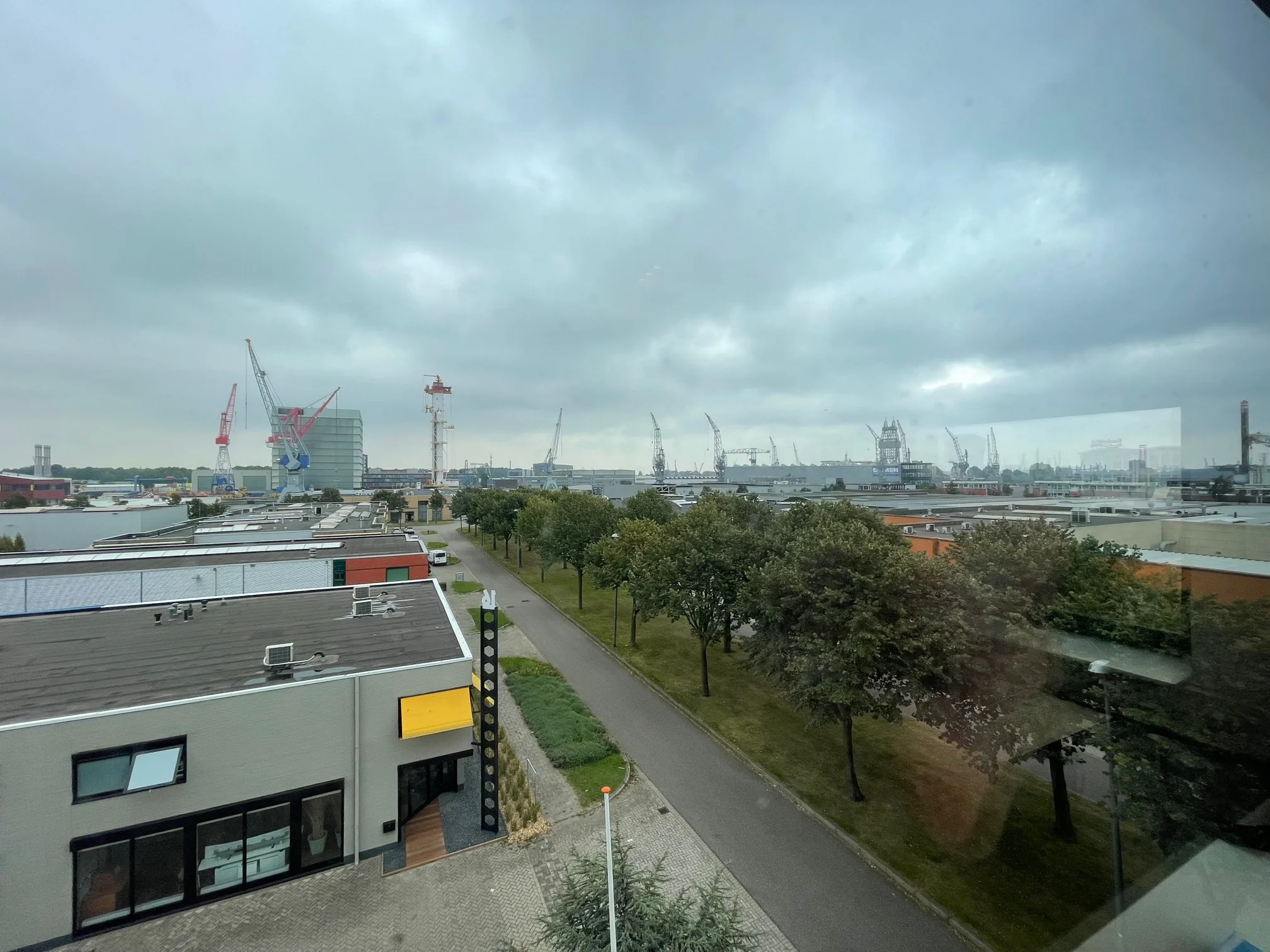 Uitzicht op de Karel Doormanweg met bedrijfsgebouwen, bomen en een achtergrond vol hijskranen in de haven.